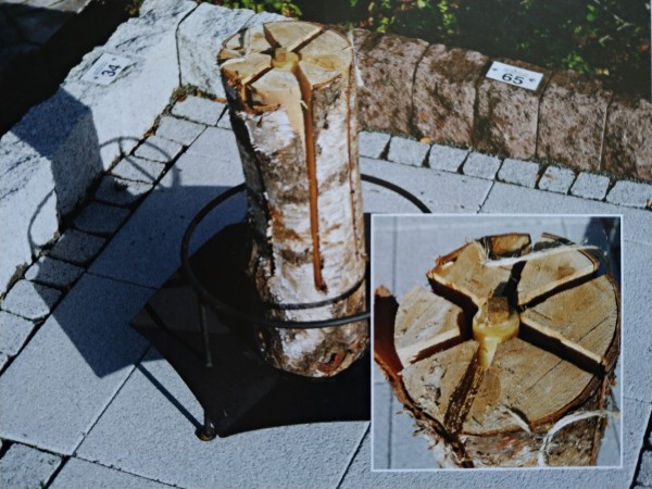 Schwedenfeuer (mit Anzündhilfe)